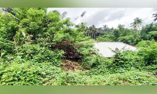 ഒരു തീർഥാടന കാലംകൂടി; തീർഥാടക വിശ്രമകേന്ദ്രം പണിതിട്ട് പത്താണ്ട്, ഇനിയും തുറക്കാതെ അധികൃതർ