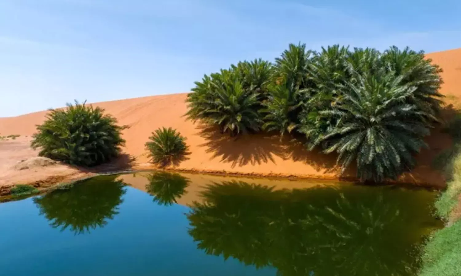 സൗദിയിലെ രണ്ട്​ ജിയോപാർക്കുകൾക്ക് യുനെസ്കോ അംഗീകാരം