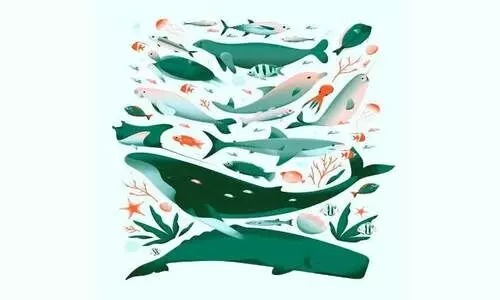 കാട്ടിലൊരു   മീന്‍