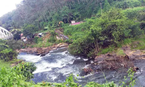 ശബരിമല തീർഥാടനകാലം അരികെ; മുക്കടവിലെ കുളിക്കടവുകൾ കാടുമൂടി തന്നെ