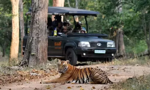 നാ​ഗ​ർ​ഹോ​ളെ​യി​ലും ബ​ന്ദി​പ്പൂ​രി​ലും സ​ഫാ​രി നി​ർ​ത്തി​വെ​ച്ചു