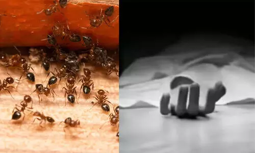 ശ്രീ... ക്ഷമിക്കണം, എനിക്ക് ഉറുമ്പുകളുടെ കൂടെ ജീവിക്കാൻ കഴിയില്ല; തെലങ്കാനയിൽ ജീവനൊടുക്കി യുവതി