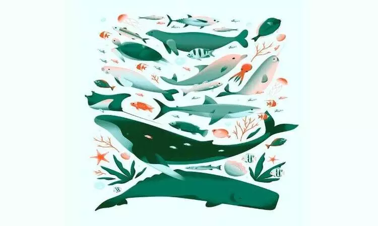 കാട്ടിലൊരു   മീന്‍