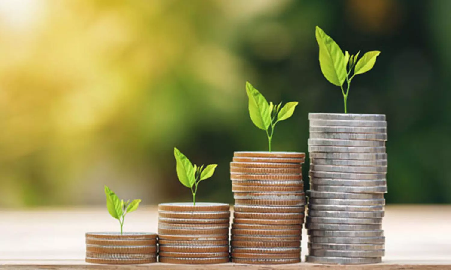 മ്യൂച്ച്വൽ ഫണ്ടി​​നേക്കാൾ ലാഭകരം മട്ടൻ ഫണ്ട്! നിങ്ങൾ ഏ​ത് തിരഞ്ഞെടുക്കും?