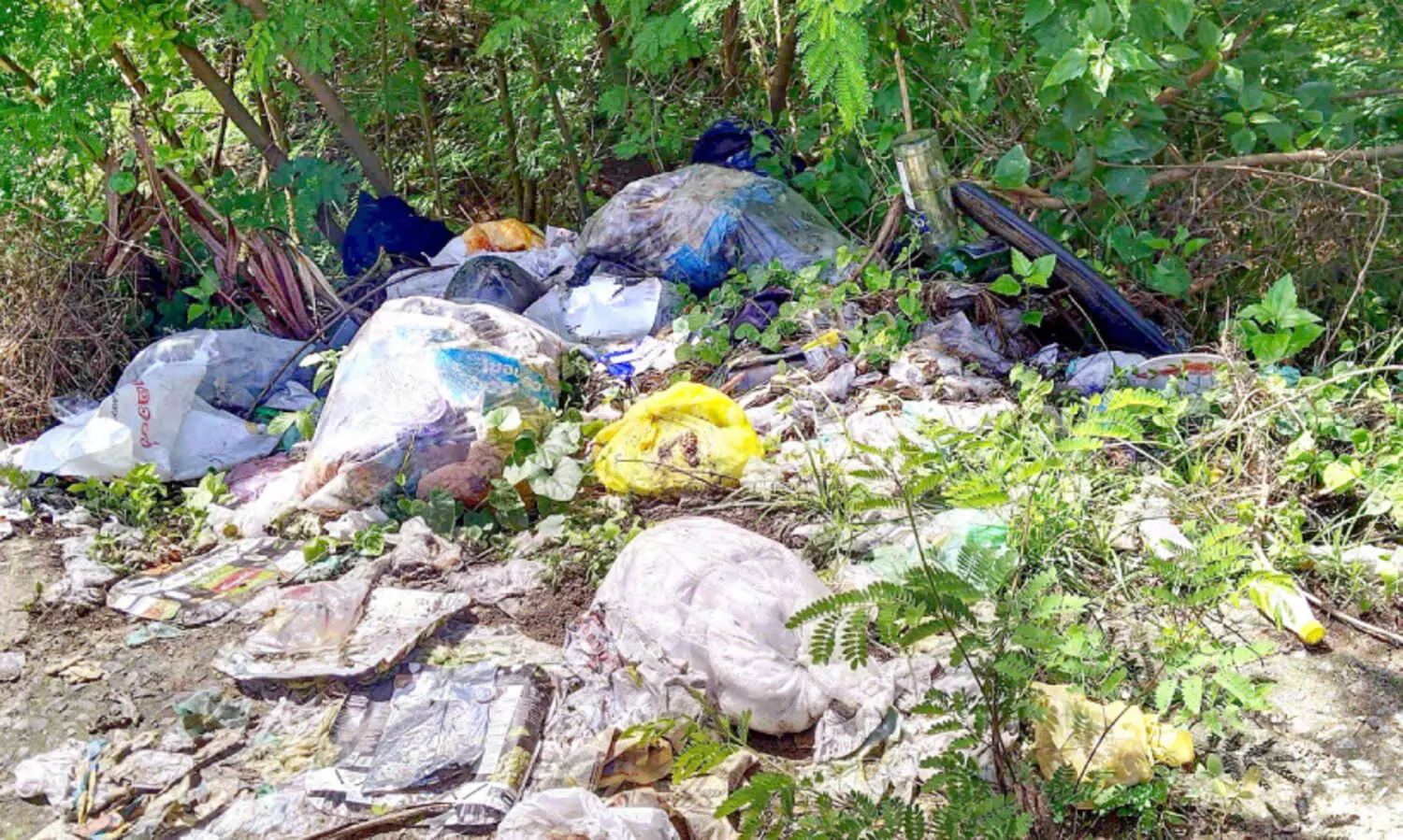 വഴിയരികിൽ മാലിന്യ നിക്ഷേപം; ഇടപെടാതെ അധികൃതർ