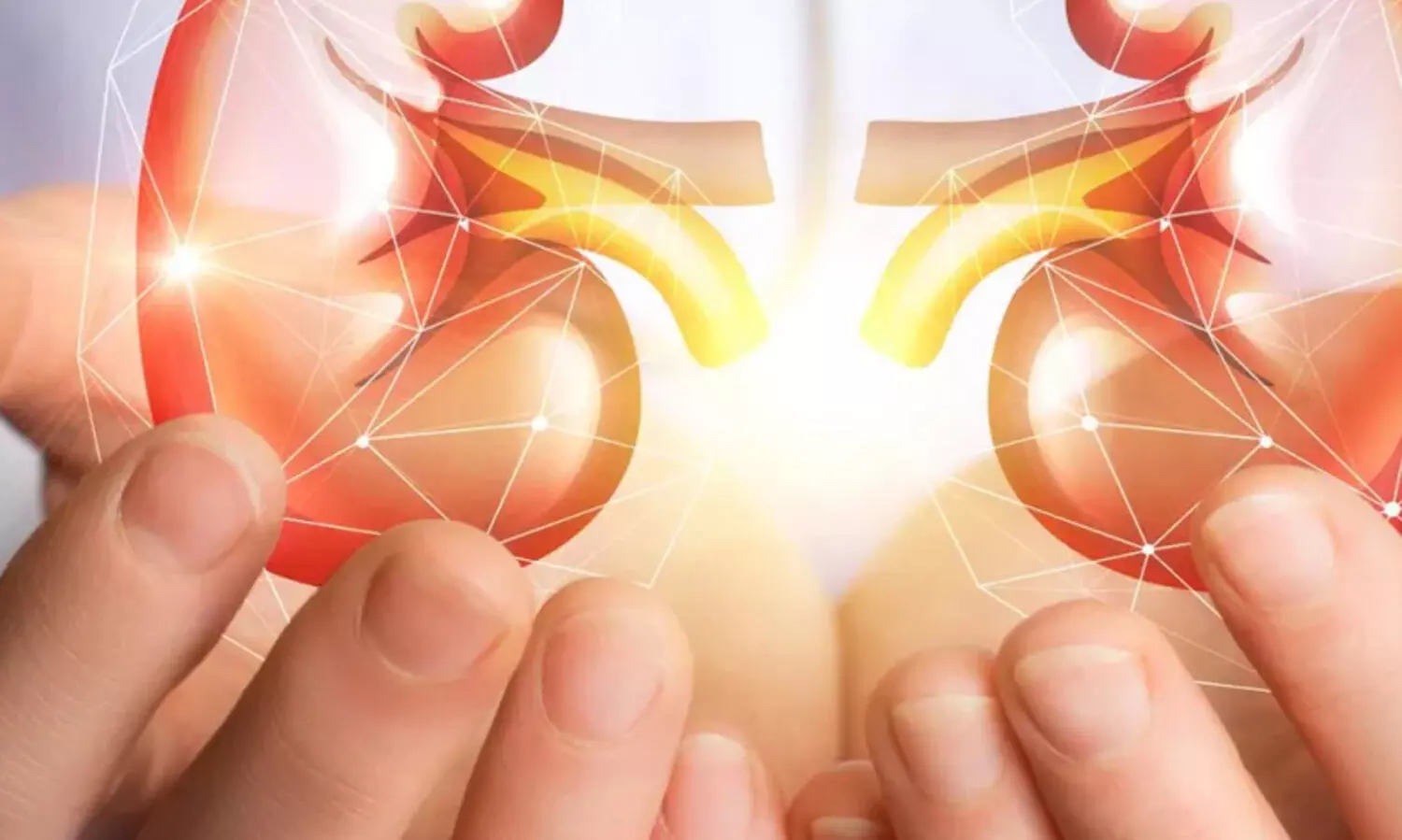 Chronic Kidney Disease