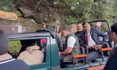 ബിഹാർ തെരഞ്ഞെടുപ്പി​നിടെ ജംഗിൾ സഫാരി നടത്തിയെന്ന്; രാഹുലിനെ പരിഹസിച്ച് ബി.ജെ.പി