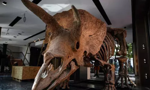 യു.പിയിൽ ദിനോസറിന്‍റെ ഫോസിൽ കണ്ടെത്തി