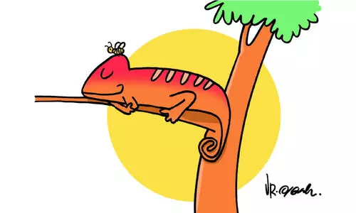 കേരളത്തിൽനിന്നൊരു ആഗോള സമാധാന പ്രസ്​ഥാനം!