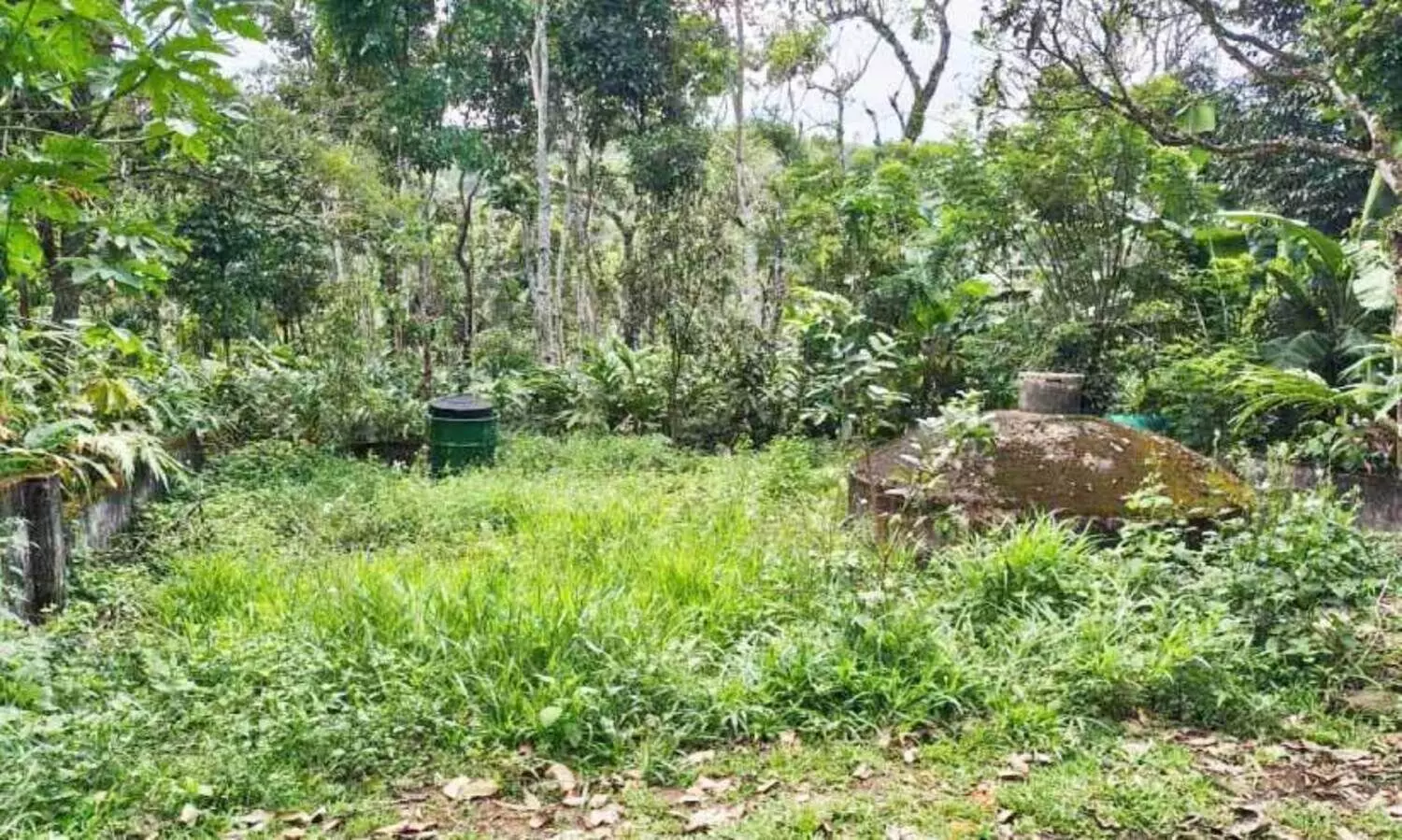 പ്രഖ്യാപനത്തിലൊതുങ്ങി സ്മാർട്ട് അംഗൻവാടികൾ