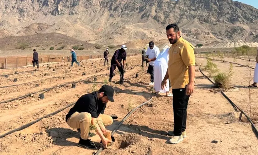 ‘ഒ​രു കോ​ടി വൃ​ക്ഷ​ങ്ങ​ൾ ന​ടാം’ ദേ​ശീ​യ പ​ദ്ധ​തി: മ​ഹ്ദ​യി​ൽ 2000 തൈ​ക​ൾ ന​ട്ടു