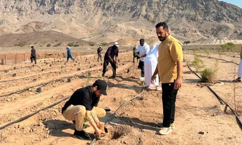 ‘ഒ​രു കോ​ടി വൃ​ക്ഷ​ങ്ങ​ൾ ന​ടാം’ ദേ​ശീ​യ പ​ദ്ധ​തി: മ​ഹ്ദ​യി​ൽ 2000 തൈ​ക​ൾ ന​ട്ടു