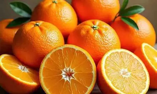 ദിവസവും ഓറഞ്ച് കഴിക്കുന്നത് കൊണ്ടുള്ള ഗുണങ്ങൾ നിരവധിയാണ്...