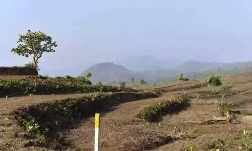 രാജമാണിക്യം റിപ്പോർട്ട്; പകരം ഭൂമി നൽകാതെ ആദിവാസികളെ ഒഴിപ്പിക്കരുത് രാജമാണിക്യം റിപ്പോർട്ട്; പകരം ഭൂമി നൽകാതെ ആദിവാസികളെ ഒഴിപ്പിക്കരുത്