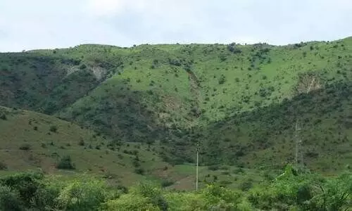 1977ന് മുമ്പ് വനഭൂമി കൈവശം വെക്കൽ; കൂടുതൽ ഇടുക്കിയിൽ, തൃശൂർ രണ്ടാമത്