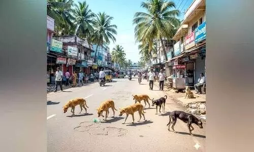വന്ധ്യംകരണമില്ല,   കെട്ടിടവും