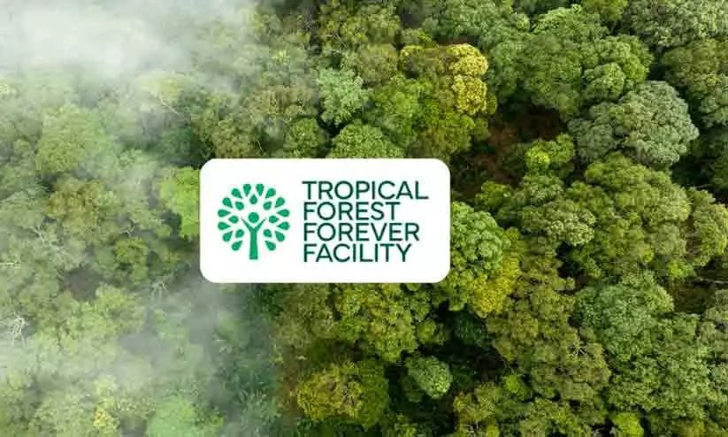 ലോകത്ത് മഴക്കാടുകൾ സംരക്ഷിക്കാൻ 11 ലക്ഷം കോടി; 74 വികസ്വര രാഷ്ട്രങ്ങൾക്ക് ബോണ്ട്