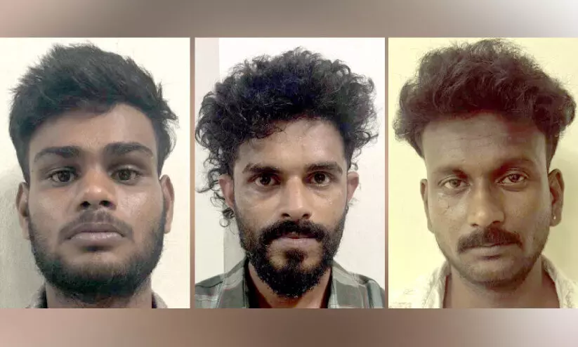 ആലപ്പുഴയിൽ വൻ ലഹരിവേട്ട; മൂന്ന് യുവാക്കൾ അറസ്റ്റിൽ