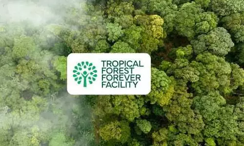 ലോകത്ത് മഴക്കാടുകൾ സംരക്ഷിക്കാൻ 11 ലക്ഷം കോടി; 74 വികസ്വര രാഷ്ട്രങ്ങൾക്ക് ബോണ്ട്