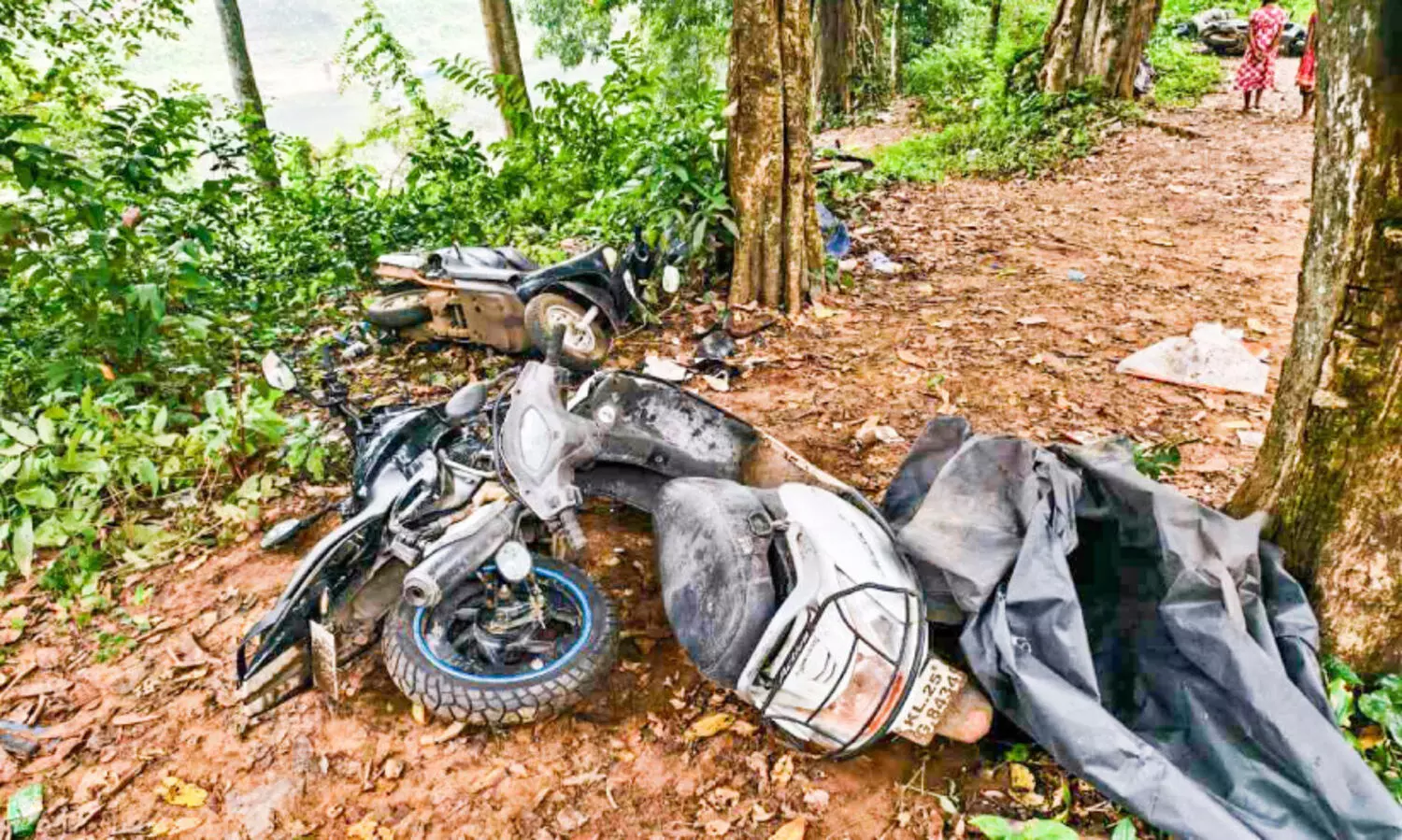 ആവണിപ്പാറയിൽ കാട്ടാനകൾ വാഹനങ്ങൾ തകർത്തു