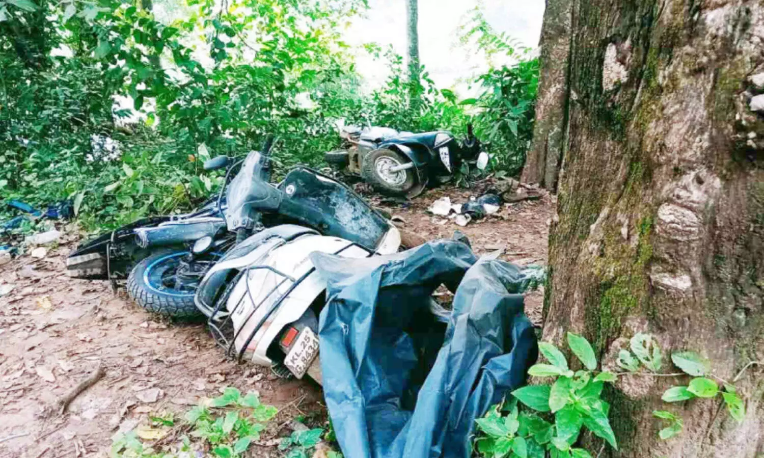 ആവണിപ്പാറയിൽ കാട്ടാന ഒമ്പത് വാഹനങ്ങൾ തകർത്തു