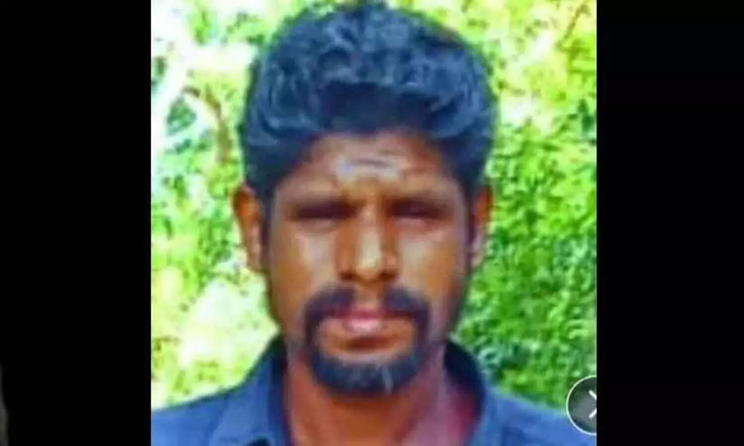 കടന്നൽ കൂട് നശിപ്പിക്കുന്നതിനിടെ കുത്തേറ്റ് മരിച്ചു