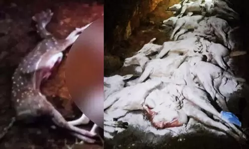 Puthur-Zoological-Park-deer death