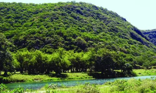 സർബ് സീസണിലെ സുന്ദരാനുഭവമായി വാദി ദർബാത്ത്
