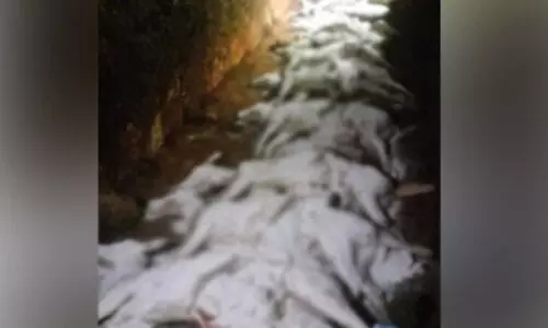 പുത്തൂർ സുവോളജിക്കൽ പാർക്കിൽ നായ്ക്കളുടെ ആക്രമണത്തിൽ പത്ത് മാനുകൾ ചത്തു