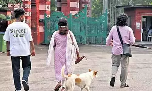 തിരുവനന്തപുരം മ്യൂസിയം വളപ്പിൽ പ്രഭാത നടത്തത്തിനിടെ അഞ്ചു പേരെ കടിച്ച തെരുവ്നായക്ക് പേവിഷബാധ സ്ഥിരീകരിച്ചു