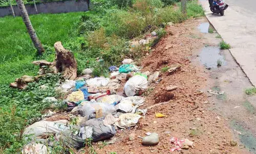 സർവീസ് റോഡിൽ മാലിന്യം തള്ളുന്നു; മൂക്കുപൊത്താതെ നടക്കാൻ പറ്റാത്ത അവസ്ഥ സർവീസ് റോഡിൽ മാലിന്യം തള്ളുന്നു; മൂക്കുപൊത്താതെ നടക്കാൻ പറ്റാത്ത അവസ്ഥ