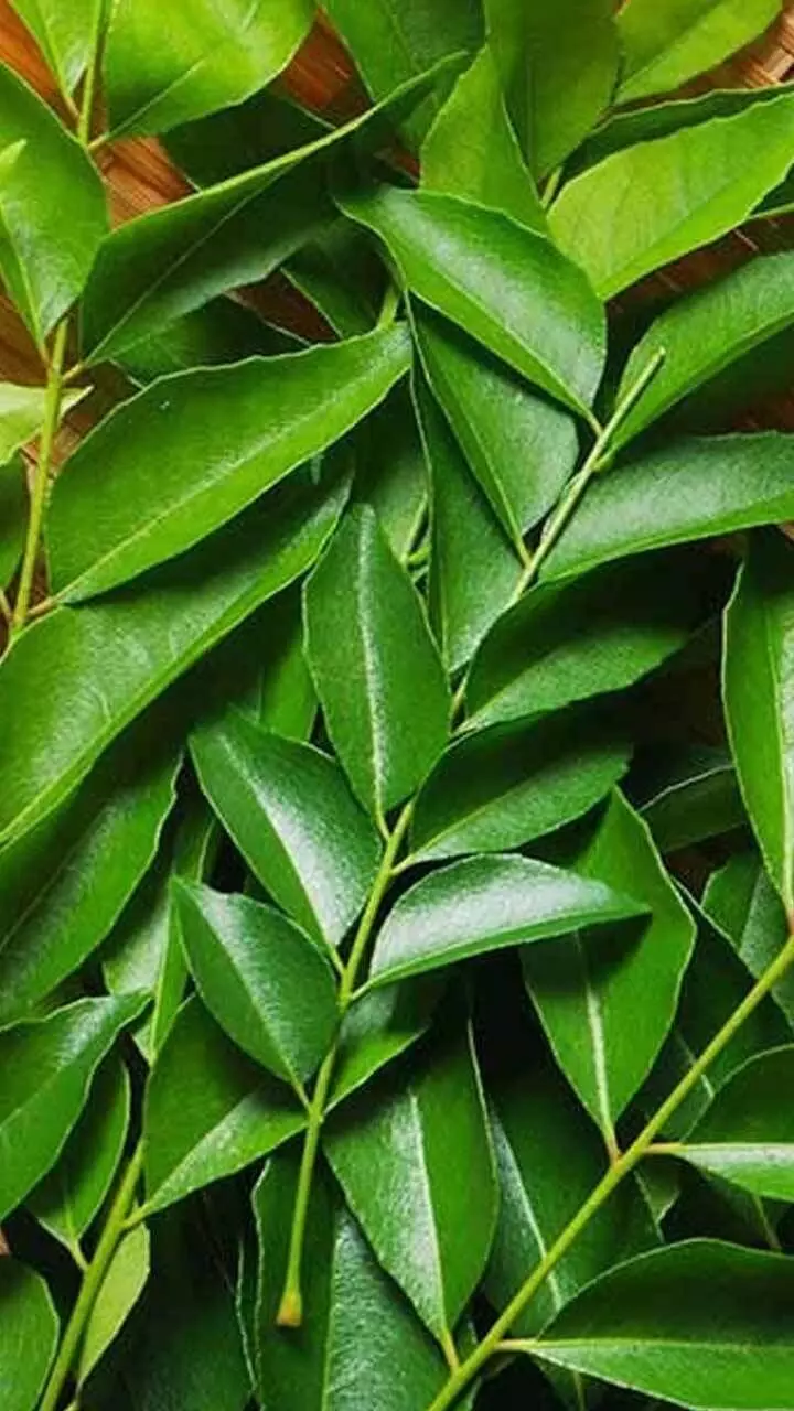 മുടി വളർച്ചക്ക് കറിവേപ്പില എങ്ങനെ ഉപയോഗിക്കാം