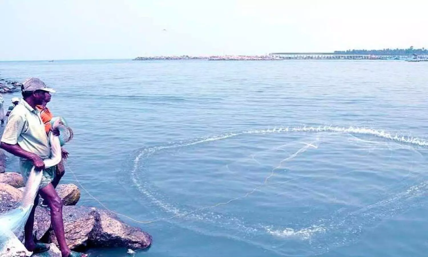 ഡോൾഫിനുകൾ മീനുകളെ തീരത്തേക്കോടിക്കും; കാത്തിരുന്ന് മീൻപിടുത്തക്കാർ വലവീശും-അപൂർവ പ്രതിഭാസം പഠിക്കാൻ വിദേശത്തുനിന്ന് ഗവേഷകർ അഷ്ടമുടിയിലേക്ക്