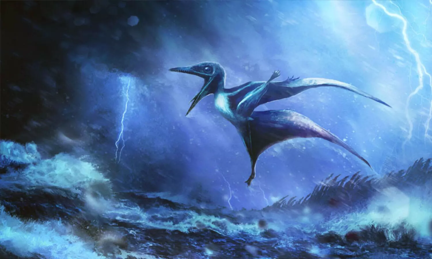 ‘മഹാ മരണ’ത്തിന് ശേഷം സമുദ്രങ്ങൾ ജീവൻ പ്രാപിച്ചതിലേക്ക് വെളിച്ചം വീശി 30000ത്തി​ലേറെ ഫോസിലുകളുടെ കണ്ടെത്തൽ