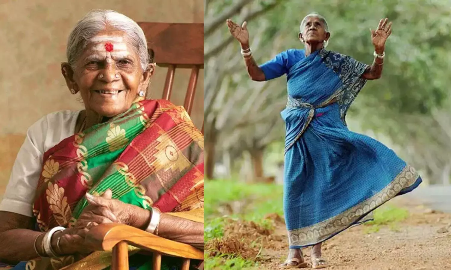 ‘വൃക്ഷ മാതാവ്’ തിമ്മക്ക വിടവാങ്ങി