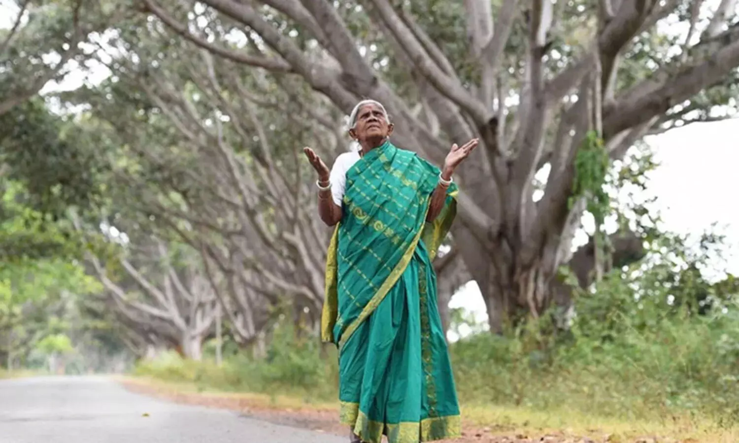 തണൽ ബാക്കിവെച്ച് മരം യാത്രയായി...