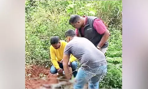 കുടക് വനം ഓഫിസ് പരിസരത്ത് നവജാത ശിശുവിന്റെ ജഡം