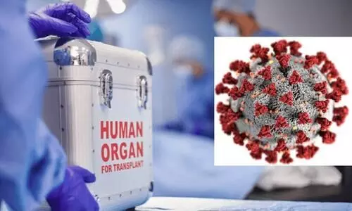 അവയവമാറ്റ ശസ്ത്രക്രിയ; കോവിഡ് പരിശോധന നിർബന്ധമല്ല