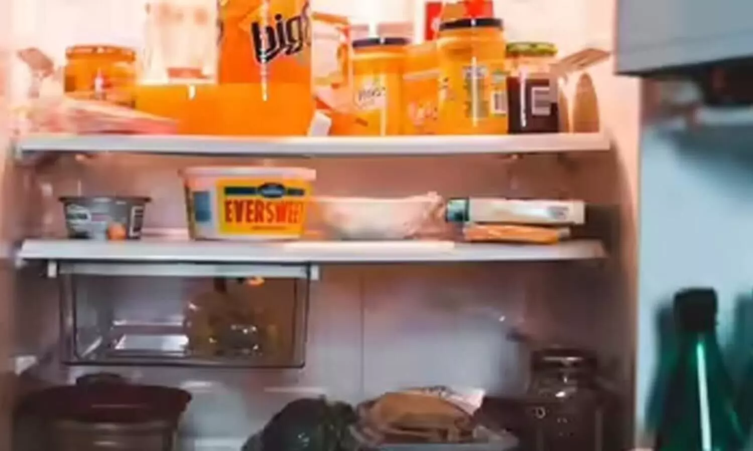 ഫ്രിഡ്ജിൽ ദീർഘകാലം സൂക്ഷിച്ച ഭക്ഷണങ്ങൾ കഴിക്കാറുണ്ടോ? അതും ചൂടാക്കാതെ, ഈ ആരോഗ്യ പ്രശ്നങ്ങൾ ഉണ്ടാകാം