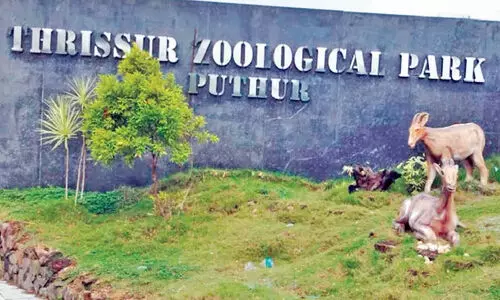 Puthur Zoological Park