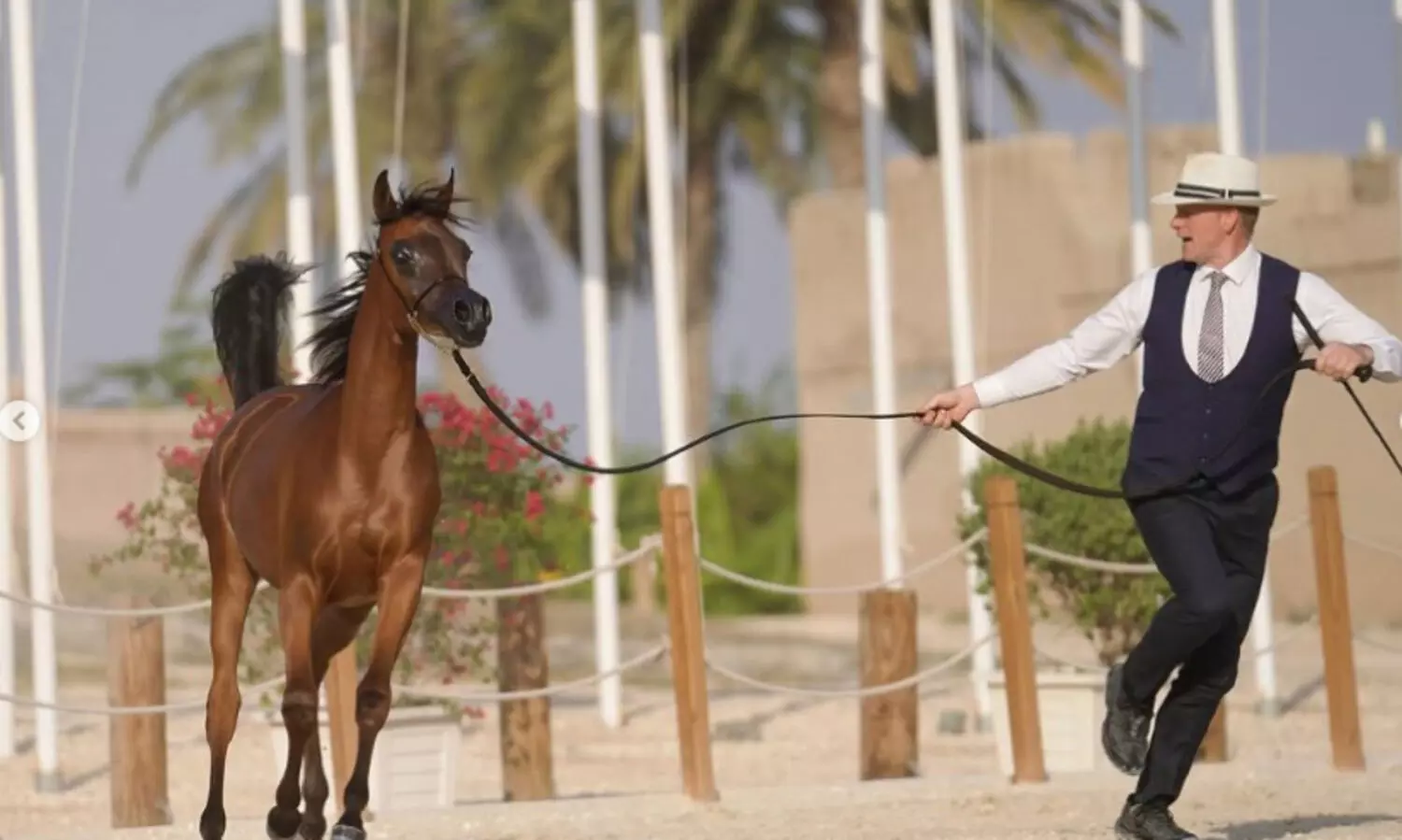 ഫു​ജൈ​റ ഇ​ന്‍റ​ർ​നാ​ഷ​നൽ അ​റേ​ബ്യ​ന്‍ കു​തി​ര സൗ​ന്ദ​ര്യ മ​ത്സ​രം 20 മു​ത​ല്‍