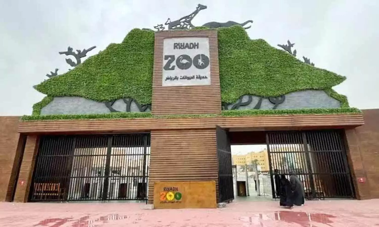 പുതിയ ലുക്കിൽ റിയാദ് മൃഗശാല നവംബർ 20 മുതൽ വീണ്ടും