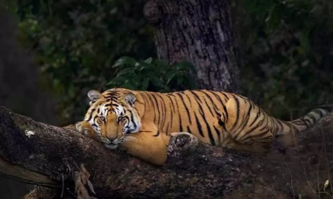 Ignoring own orders, Supreme Court has kept case in limbo since 2018 Ignoring own orders, Supreme Court has kept case in limbo since 2018