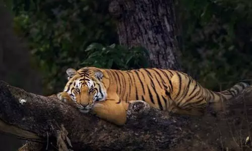 Ignoring own orders, Supreme Court has kept case in limbo since 2018