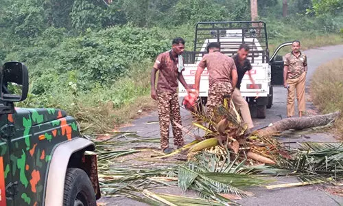 വന്യജീവി സംഘർഷം നേരിടാൻ തദ്ദേശീയർക്ക് പരിശീലനം
