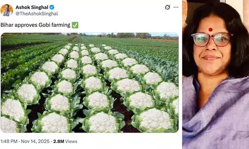 ashok singhal-sudha menon