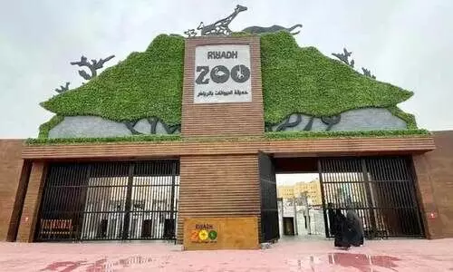പുതിയ ലുക്കിൽ റിയാദ് മൃഗശാല നവംബർ 20 മുതൽ വീണ്ടും