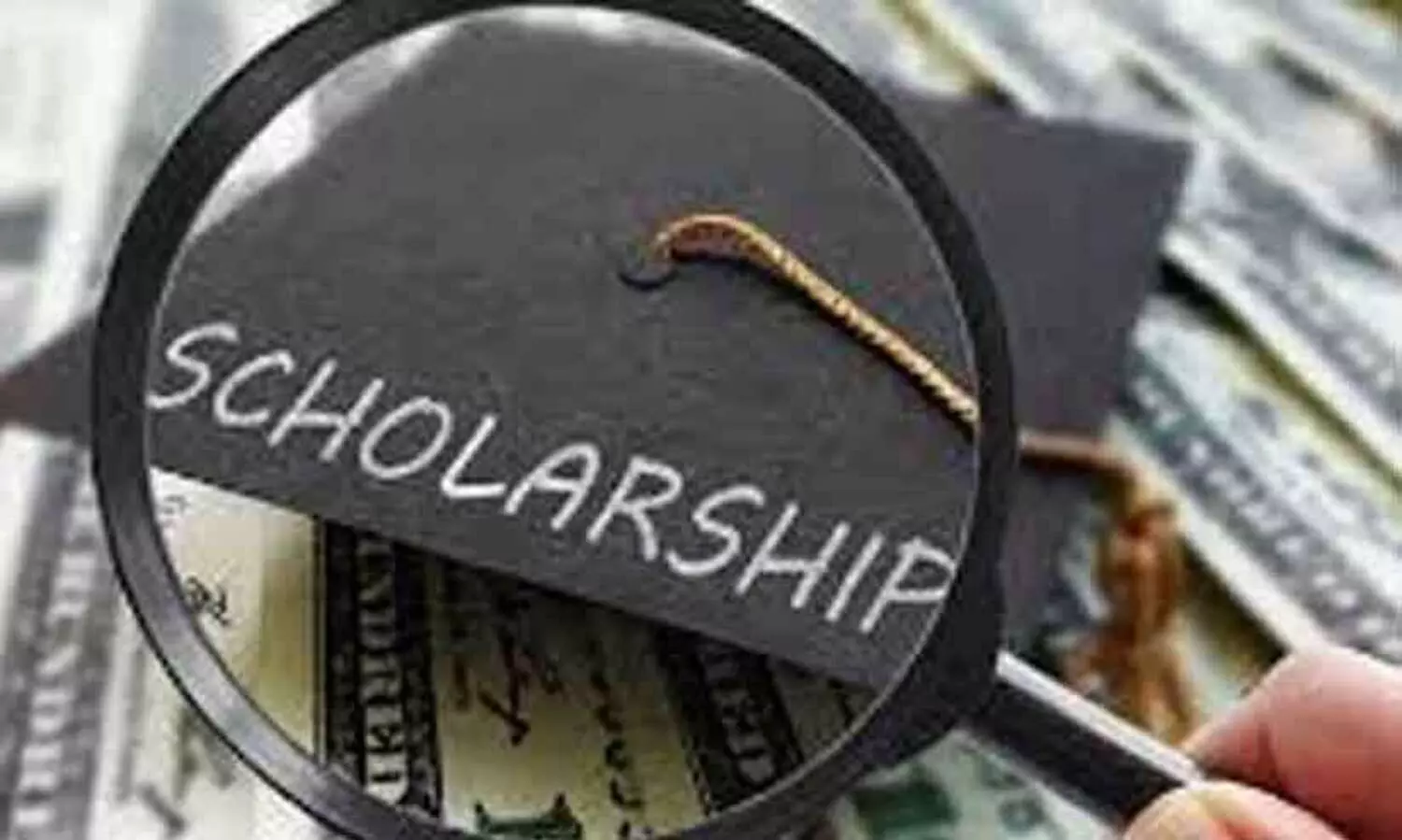 Scholarship