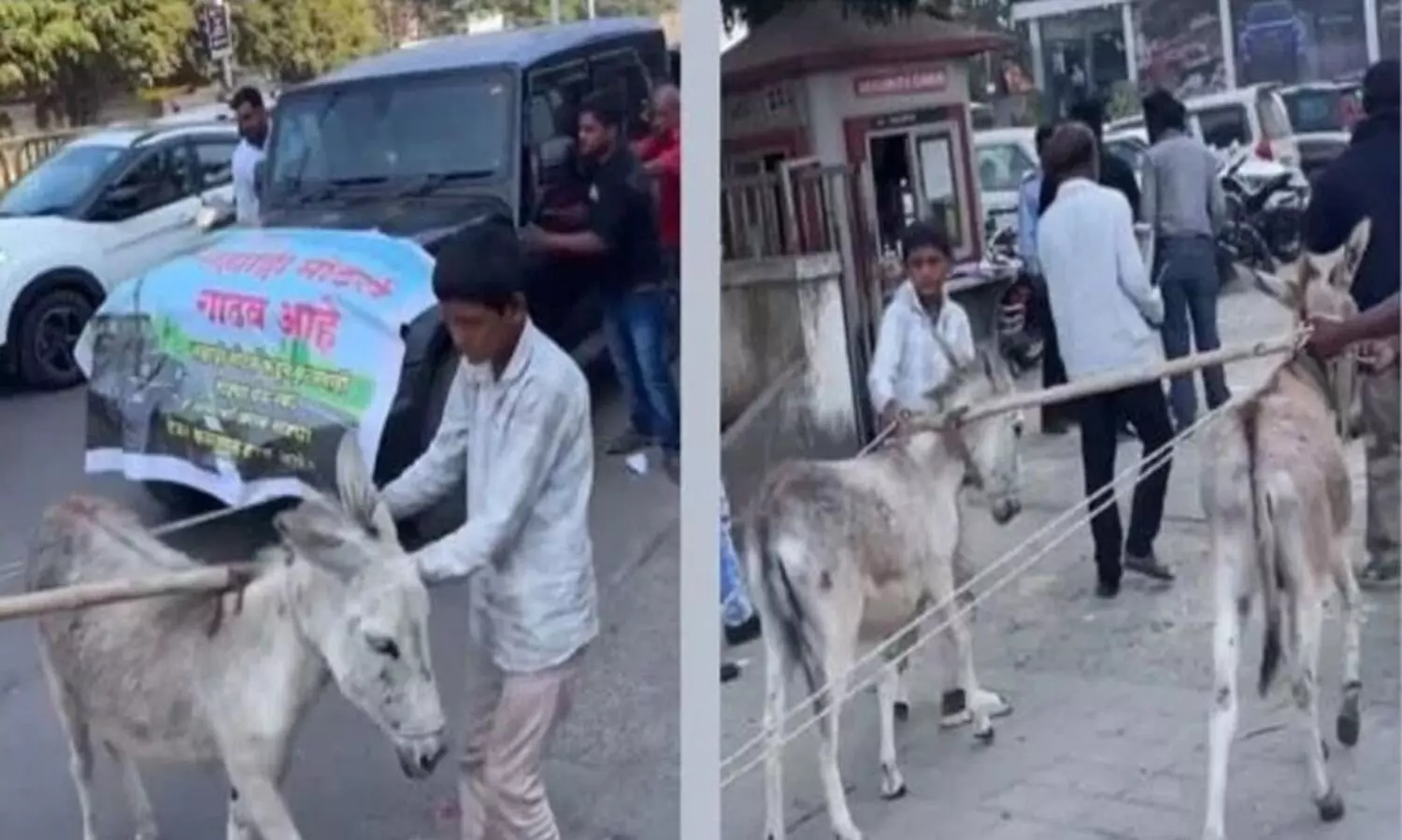 Mahindra thar donkey
