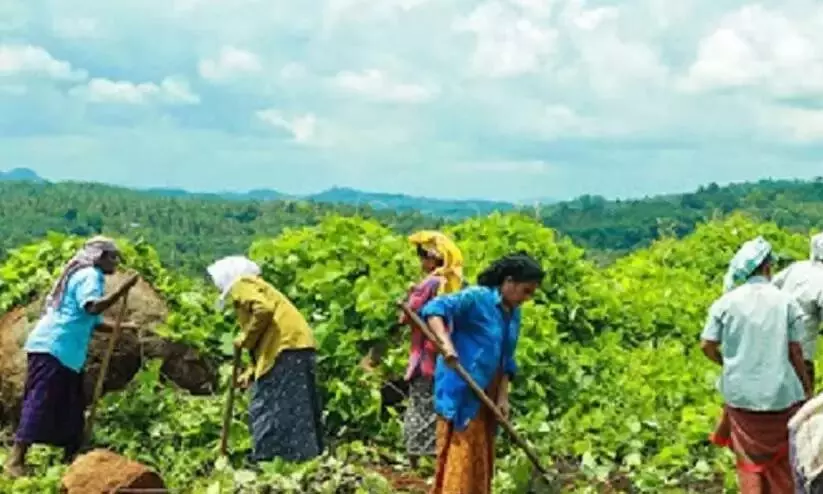 Thozhilurappu Thozhilurappu